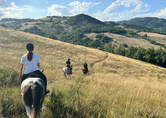 Tenuta Mattei Vergato