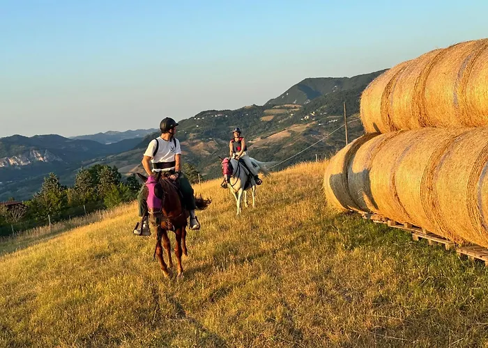 Bed & Breakfast Tenuta Mattei 3*