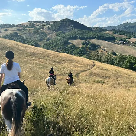 Tenuta Mattei Vergato