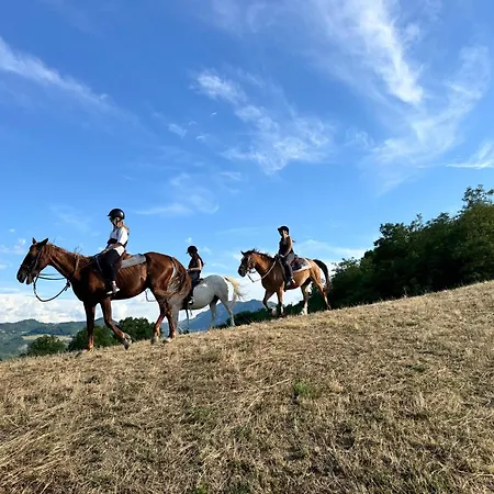 Tenuta Mattei فندق مبيت وإفطار Vergato