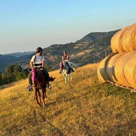 Couette-café Tenuta Mattei 3*