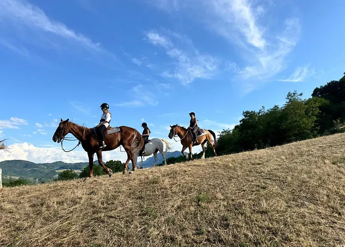 Tenuta Mattei فندق مبيت وإفطار Vergato